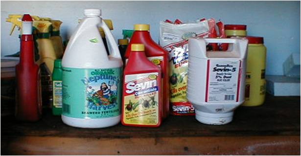 Properly Store Pesticides